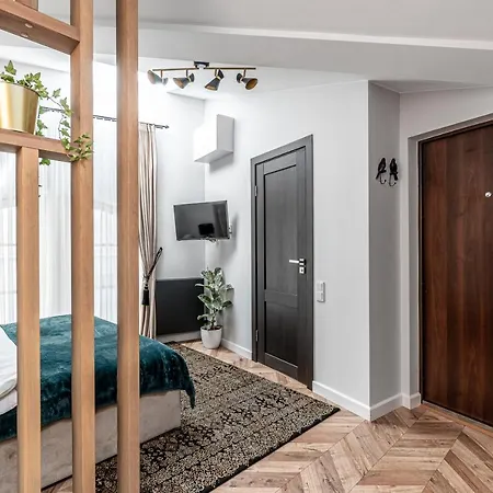 Sun Lighted Cathedral Square Studio * Wilna