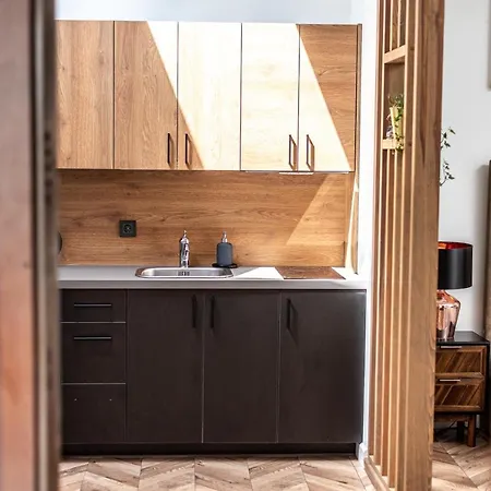 Apartment Sun Lighted Cathedral Square Studio Wilna