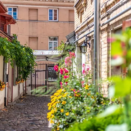 Sun Lighted Cathedral Square Studio Вильнюс