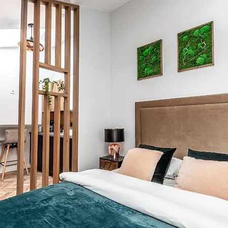 Sun Lighted Cathedral Square Studio Apartment Vilnius