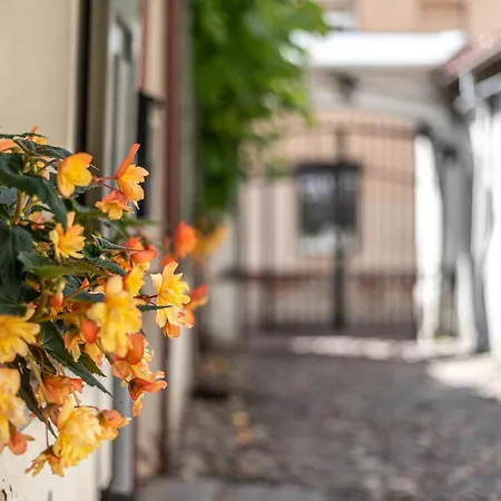 Apartment Sun Lighted Cathedral Square Studio *