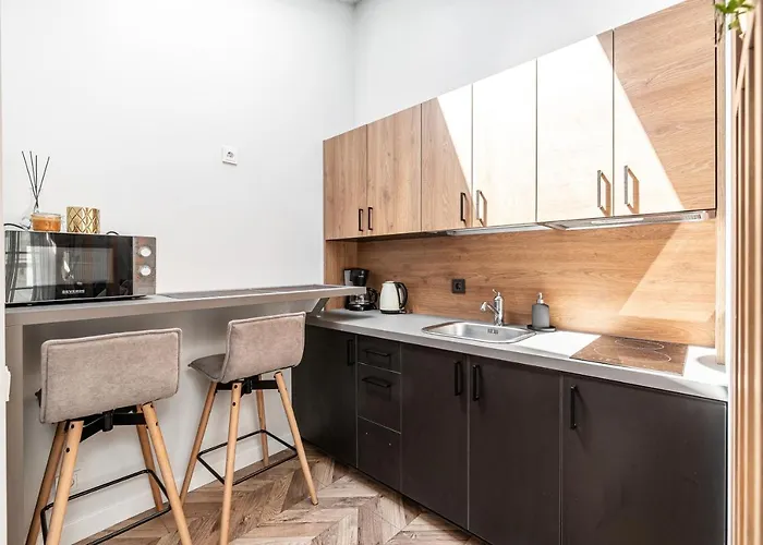 Apartment Sun Lighted Cathedral Square Studio Wilna