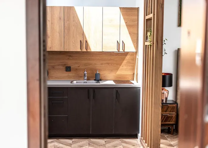 Apartman Sun Lighted Cathedral Square Studio Vilnius