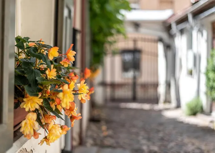 Apartman Sun Lighted Cathedral Square Studio *