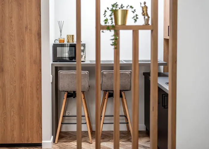 Sun Lighted Cathedral Square Studio Апартаменты Вильнюс