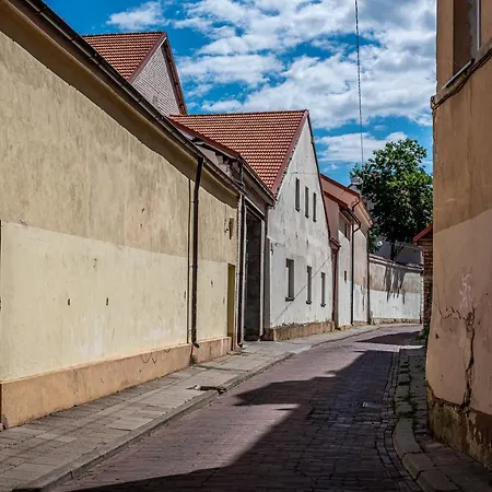 Sun Lighted Cathedral Square Studio Vilnius